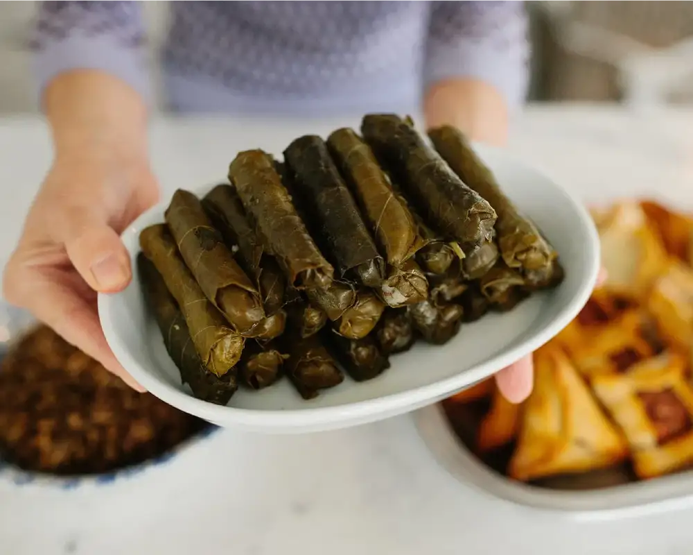 طرز تهیه دلمه ترکی