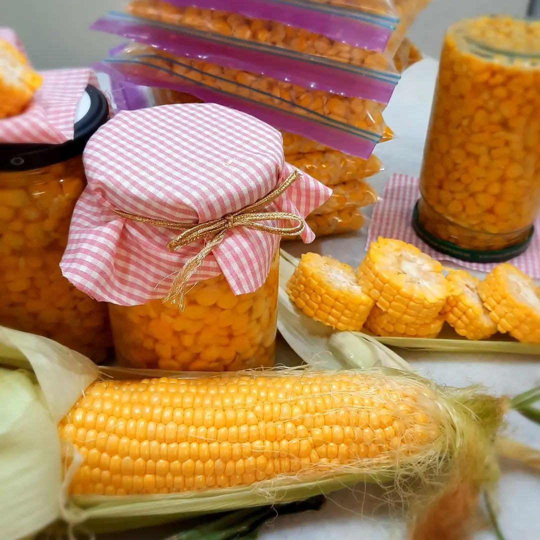 روش نگهداری کنسرو ذرت در یخچال و انباری